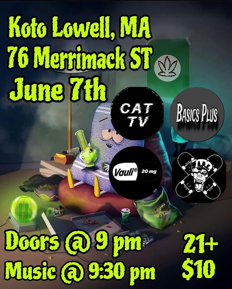 Koto Downstairs: APE, Basics Plus, Cat TV, Vauli