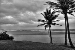 Zinkwazi Beach2 mono small.jpg
