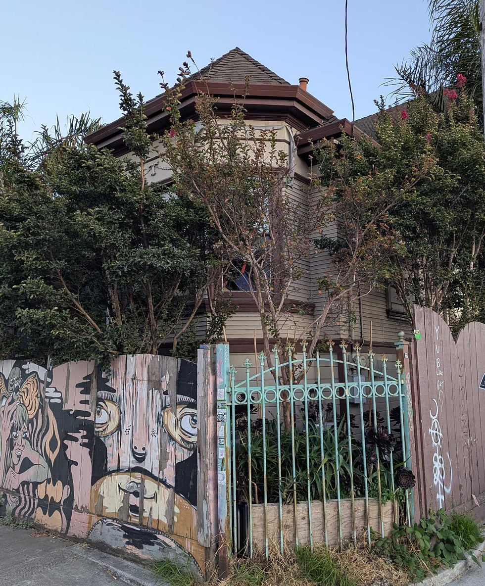 The Pussy Palace looking palatial.