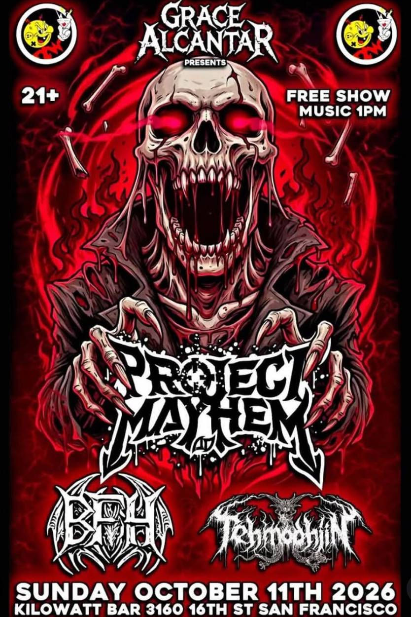 Project Mayhem, BFH, Tehmodhiin