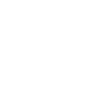 Asset 10.png