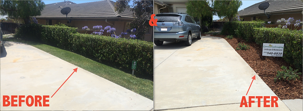 Drive Way View.png