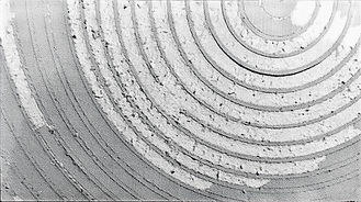 Künstlerische Wandarbeit / Suzanne Faltenbacher