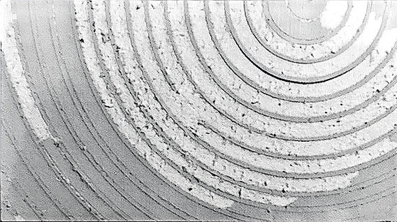 Künstlerische Wandarbeit / Suzanne Faltenbacher