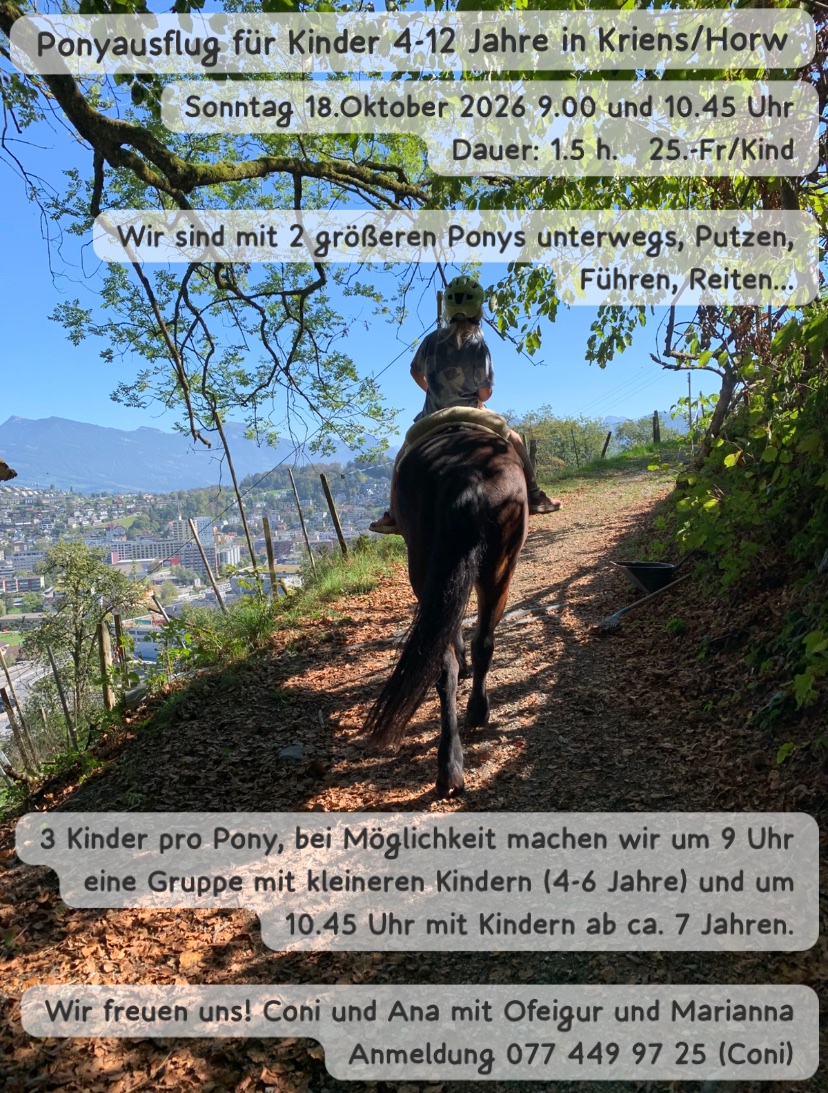 Flyer zu Ponyausflug für Kinder 4-12 Jahre in Kriens/Horw