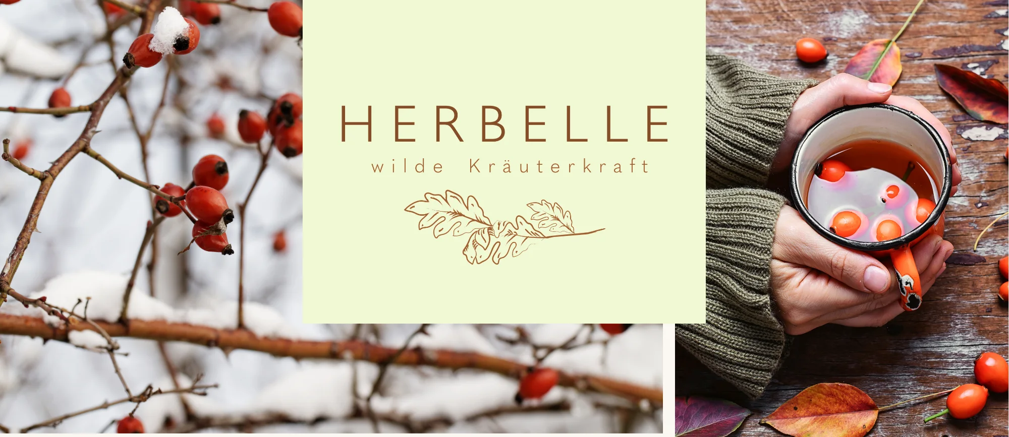 Bild zu HERBELLE-Atelier "Deine eigene Winterapotheke"