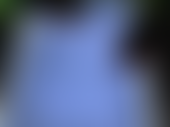 La psicomotricitat fina.