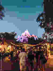 mount everest, everest, magic kingdom, animal kingdom, disney world, travel, florida, the simple farmhouse