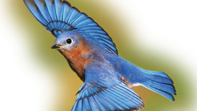 Continuous Environmental Tracking