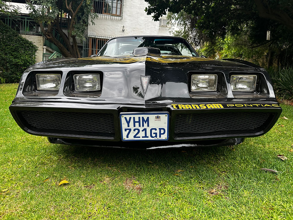 Thumbnail: 1981 Pontiac Firebird TransAm