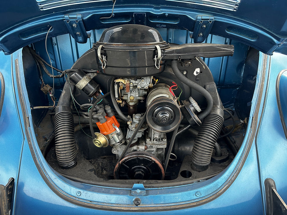 Thumbnail: 1969 Volkswagen Beetle