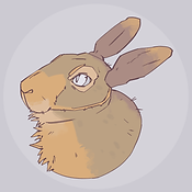 icom example_1_hare_flat.png