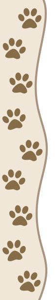 pawprints_edited.jpg