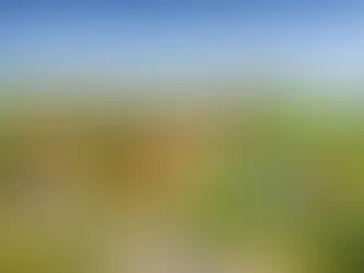 Auf dem Bild sind drei Grundstücke gesehen, an denen die verschiedenen Baulast Arten erklärt werden