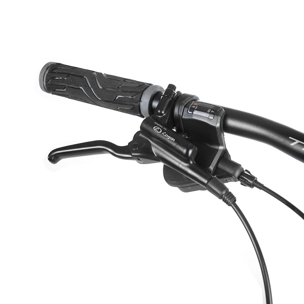 Miniatura: BICICLETA TURBO 9.3 TERRA R29