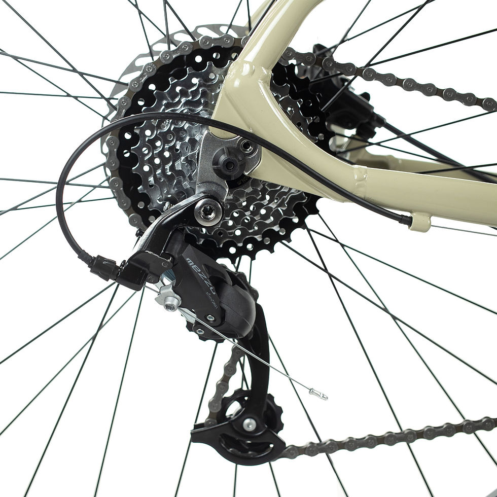 Miniatura: BICICLETA TURBO 9.3 TERRA R29
