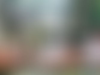 Müll-Monster im Klassenzimmer: Schüler*innen diskutieren Umweltschutz