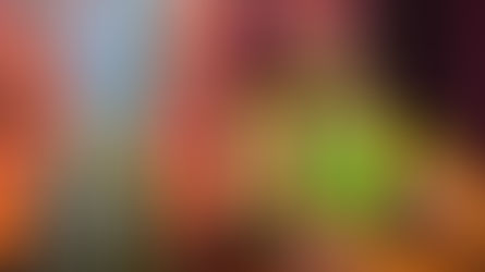 Rum. Hampden Estate 8 Year Old