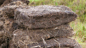 St Kilian Cognac. Octomore Monbazillac