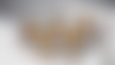 World's Largest Private Whisky Auction