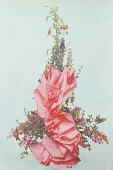 Flower Study II