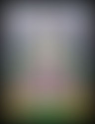 La mujer inmaculada, portal dimensional.