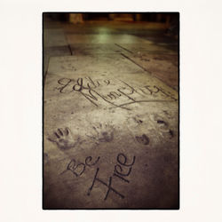 20x20 Be free in hollywood