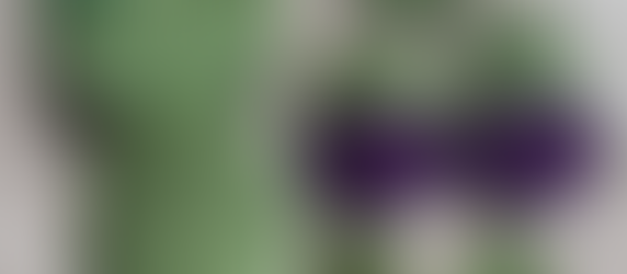 Parker The Pig Zombie Modification