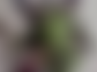 Milo the Mushroom Baphomet a modification to Baku the Baphomet