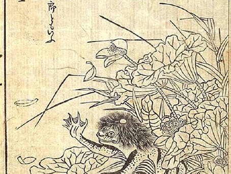 Cryptid Corner: Kappa Edition