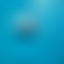 Descubre el Paraíso: Los 5 Imperdibles de Punta Cana