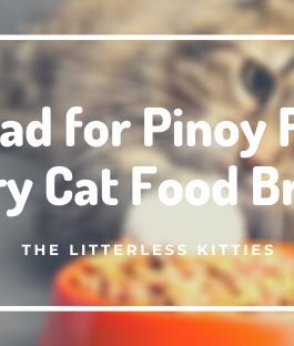 A Must-Read for Pinoy Furparents on Dry Cat Food Brands