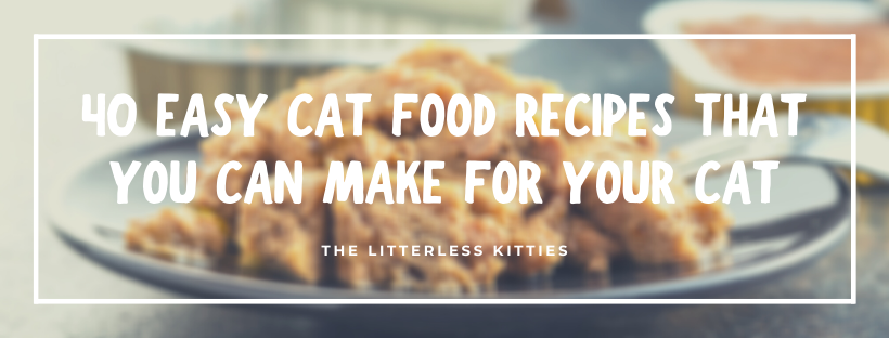 40 Easy Cat Food Recipies That You Can Make For Your Cat