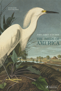 birds of america.gif