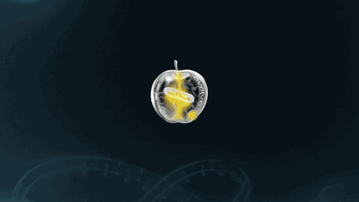 DVRK_Full_3012-2.gif