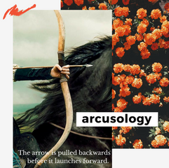 About Arcusology
