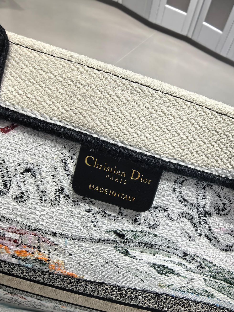 Thumbnail: Dior Book Tote Portofino