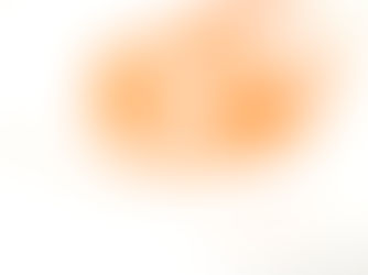 オリジナルLIMEXバッグ