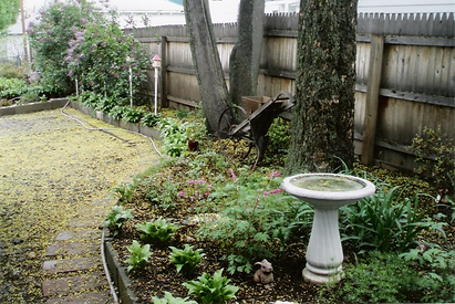 side yard long view_edited.png