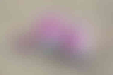 schwangerschaftsfotografie_kloten