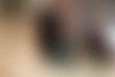 Hundefotografie_Winterthur