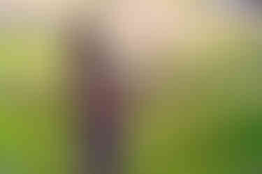 Schwangerschaftsfotos Winterthur