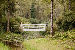 Hochzeitsfotografie, seliger Moor