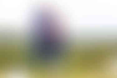 Schwangerschaftsfotos Winterthur