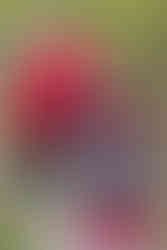 Maternety_winterthur