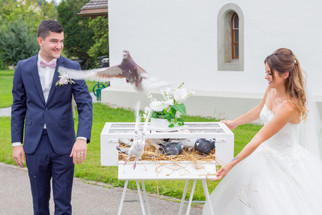 Hochzeitsfotografie-Tauben-freilassen