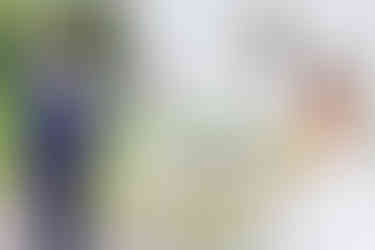 Hochzeitsfotografie-Tauben-freilassen