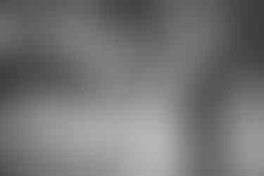 Hochzeitsfotografie-das-brautpaar