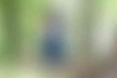 Schwangerschaftsfotos Winterthur