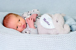 Newborn, Baby, Obfelden